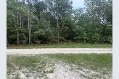 0 SW 130 Terrace, Dunnellon, FL 34432 - Photo 4