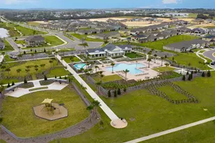 3497 Banana Shrub Blvd, Clermont, FL 34711 - Photo 32