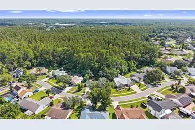 3720 Murray Dale Drive, Valrico, FL 33596 - Photo 62