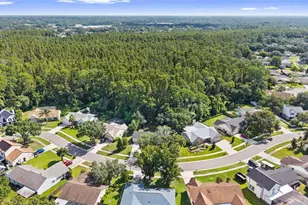 3720 Murray Dale Dr, Valrico, FL 33596 - Photo 62