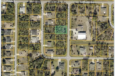 Blackman Street, North Port, FL 34291 - Photo 2
