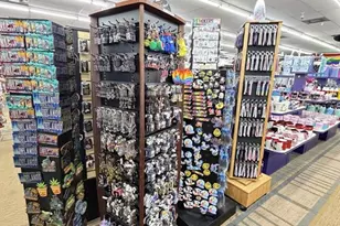 6119 W Irlo Bronson Memorial Hwy, Kissimmee, FL 34746 - Photo 6