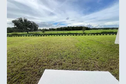 7909 Peace Lily Avenue, Wesley Chapel, FL 33545 - Photo 24
