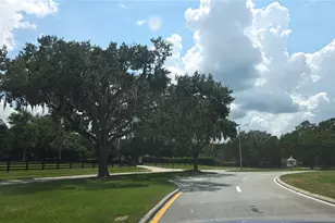 5045 Misty Lake Dr, Mulberry, FL 33860 - Photo 10