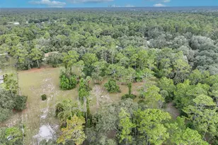 2968 S Tanner Rd, Orlando, FL 32820 - Photo 34