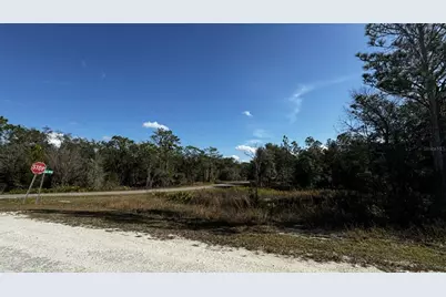 7398 Wagers Drive, Webster, FL 33597 - Photo 2