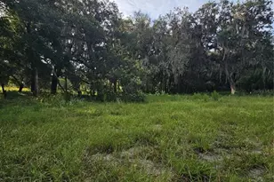 4003 N County Rd 426, Geneva, FL 32732 - Photo 2