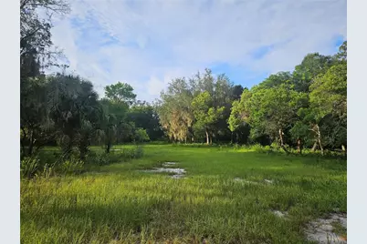 Snow Hill Rd Road, Geneva, FL 32732 - Photo 2