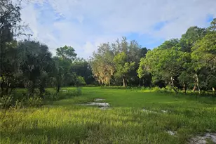 Snow Hill Rd Rd, Geneva, FL 32732 - Photo 2