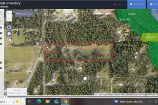 Snow Hill Rd Rd, Geneva, FL 32732 - Photo 8