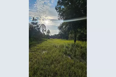 Snow Hill Rd Road, Geneva, FL 32732 - Photo 1