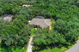 11540 Nellie Oaks Bend, Clermont, FL 34711 - Photo 48