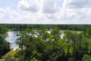 42135 Pine Valley Dr, Paisley, FL 32767 - Photo 20