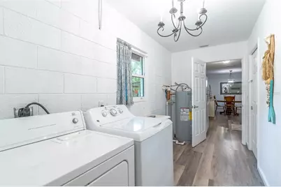 31050 Lochmore Circle, Mount Plymouth, FL 32776 - Photo 30