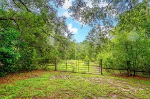 31050 Lochmore Cir, Mount Plymouth, FL 32776 - Photo 38