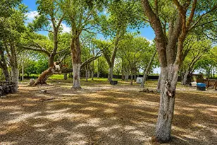 Mammoth Grove Rd, Lake Wales, FL 33898 - Photo 1
