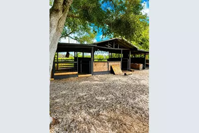 Mammoth Grove Road, Lake Wales, FL 33898 - Photo 8