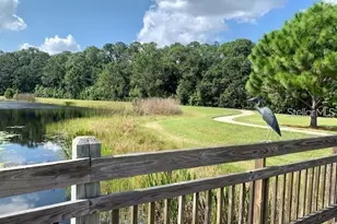 7453 Wing Span Wy, Saint Cloud, FL 34773 - Photo 32