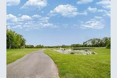 9072 Overlook Pass Drive, Windermere, FL 34786 - Photo 62