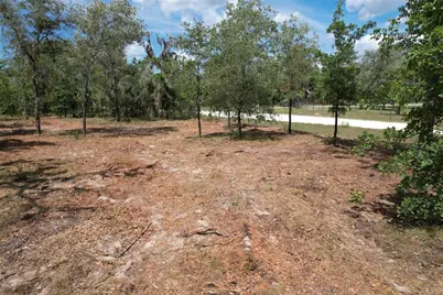 53rd Lane, Morriston, FL 32668 - Photo 2