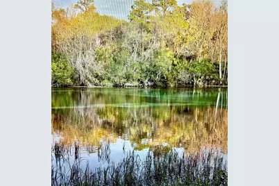 Sw 205th Circle, Dunnellon, FL 34431 - Photo 6