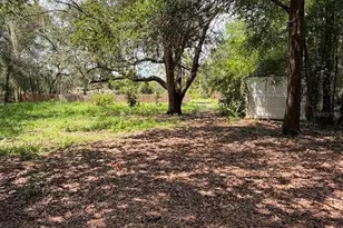 427 Polk Ave, Orange Park, FL 32065 - Photo 54