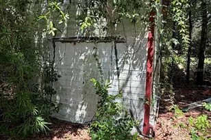 427 Polk Ave, Orange Park, FL 32065 - Photo 46
