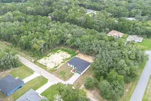 10615 N Didiscus Dr, Citrus Springs, FL 34434 - Photo 36