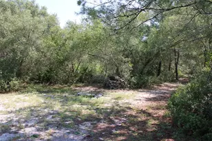 15764 NE 235th Pl, Fort Mc Coy, FL 32134 - Photo 14