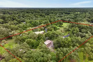 11094 Cr 683D, Webster, FL 33597 - Photo 1