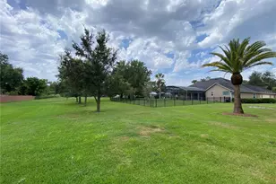 11348 Willow Gardens Dr, Windermere, FL 34786 - Photo 6