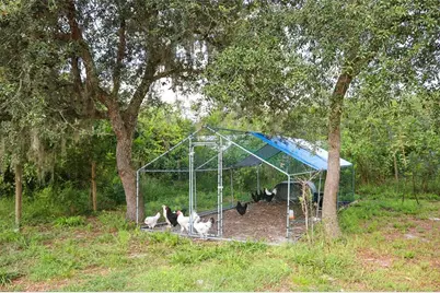 44031 East Road, Paisley, FL 32767 - Photo 36
