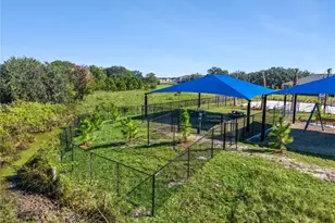 793 Preston Cv Dr, Saint Cloud, FL 34771 - Photo 24