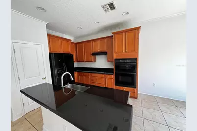 454 Janice Kay Place, Kissimmee, FL 34744 - Photo 8