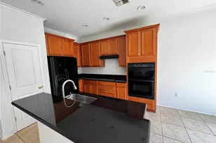 454 Janice Kay Pl, Kissimmee, FL 34744 - Photo 8