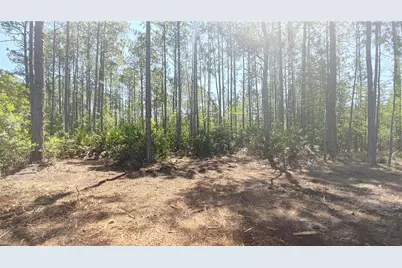 1001 Omega Ranch Road #16, New Smyrna Beach, FL 32168 - Photo 18
