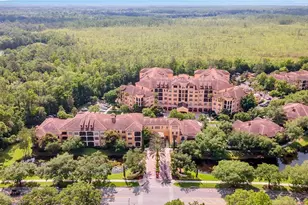 500 Mirasol Cir, Celebration, FL 34747 - Photo 46