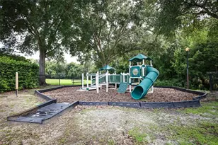 3221 Egrets Landing Dr, Lake Mary, FL 32746 - Photo 56