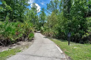 2615 Lakemoor Dr, Orlando, FL 32828 - Photo 50