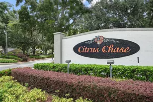 8349 Citrus Chase Dr, Orlando, FL 32836 - Photo 52