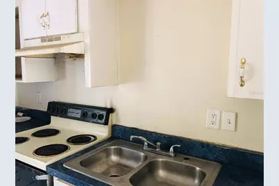 411 Kilgore Street, Wildwood, FL 34785 - Photo 4
