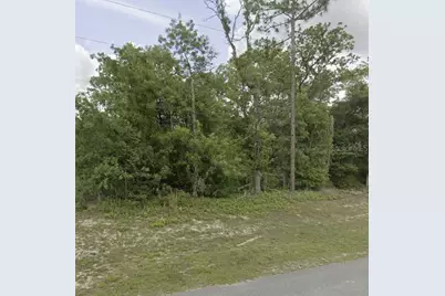 Lot 4 SW 155 Place, Ocala, FL 34473 - Photo 2