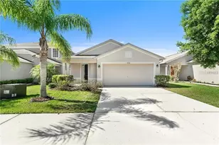 31316 Triborough Dr, Wesley Chapel, FL 33545 - Photo 1