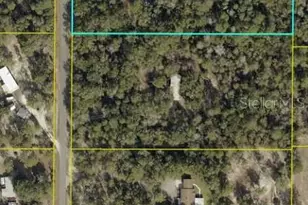 5-Acre Cr 543A, Sumterville, FL 33585 - Photo 1