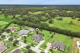 25874 Crossings Bluff Ln, Sorrento, FL 32776 - Photo 40