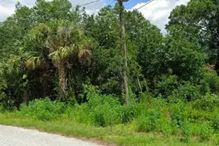 Jinright Rd, North Port, FL 34288 - Photo 1
