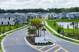14422 Crest Palm Ave, Windermere, FL 34786 - Photo 24