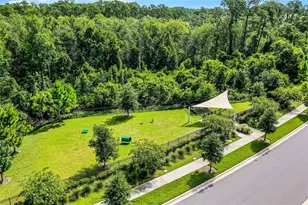 17428 Honeybell Tangelo Ct, Winter Garden, FL 34787 - Photo 48