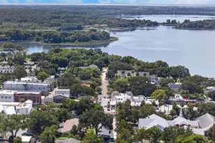 3250 Laurel Dr, Mount Dora, FL 32757 - Photo 48