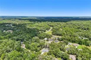 1194 W Virginis Dr, Citrus Springs, FL 34434 - Photo 40